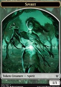 Spirit Double-sided Token
